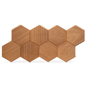 PROSAUNAS Hive Thermo Sauna Wall Panels, Hexagon Pattern, Thermo-Abachi