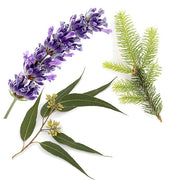AromaMist AI503-SA Essential Oils 3-Pack - Eucalyptus, Lavender & Spruce, 4oz Bottles