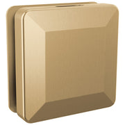 Delta SimpleSteam Square Steam Head