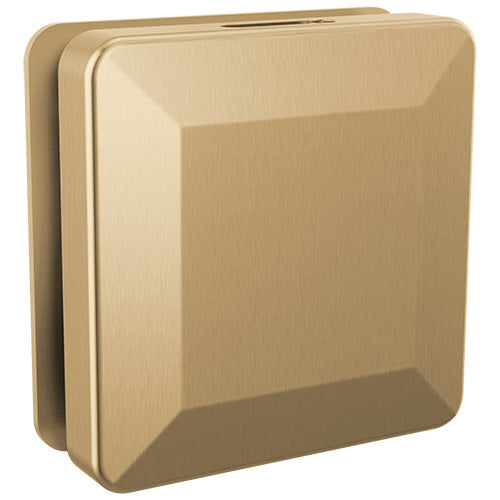Delta SimpleSteam Square Steam Head